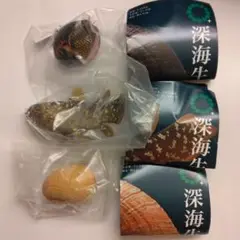 【シーラカンス】【ウロコフネタマガイ２種】深海生物2 NTC MONO+ ガチャ