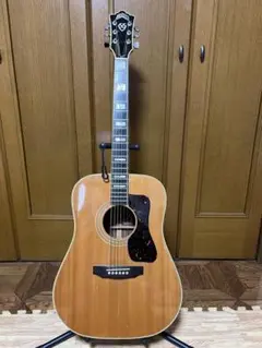 2025年最新】ARIA アコースティックギターの人気アイテム - メルカリ