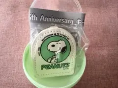 PEANUTS スヌーピー 75周年記念キーホルダー Green 1点