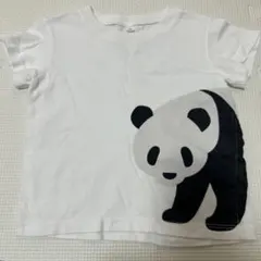 Item thumbnail for item cd6a4552-84d6-417c-9245-5040ebf5e3d3