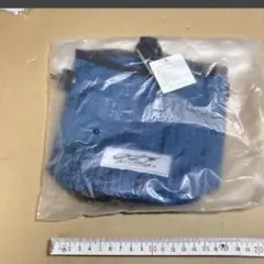 Item thumbnail for item 5b54cc09-39be-44c0-a18a-dd76cdc9e6ee