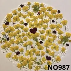 Item thumbnail for item 8461d553-6bcc-4bc0-954b-d8fc64ba6db9