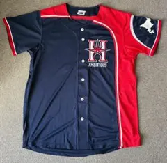 Item thumbnail for item 1c11b3b0-dcf1-4c07-b3dd-38e7bdf62b0a