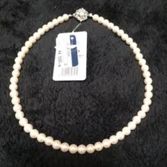 Item thumbnail for item b872c620-8a2a-4254-a719-888d9e87ec8b