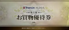 ヤマダ電機YAMADA お買物優待券 10枚セット