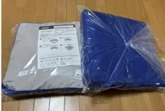 True Sleeper 低反発座布団　ブルー　2枚セットのサムネイル