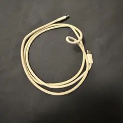 Apple純正 USB-Cケーブル（iPhone16付属品）