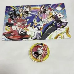 CrazyRaccoon CRフェス sega rionステッカー