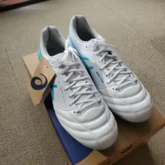 ASICS DS LIGHT X-FLY 5 26.0cm 今週取引希望
