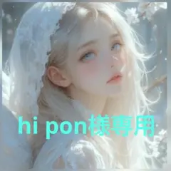 hi pon様専用ページ