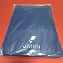 Item thumbnail for item 4ca87baa-9b45-4c1d-b170-7f8642c3a5d2