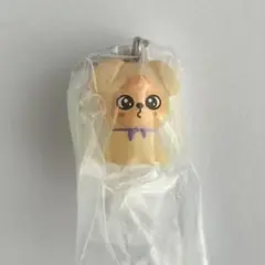 straykids スキズ　ガチャ　めじるしアクセサリー　パピーム　スンミン