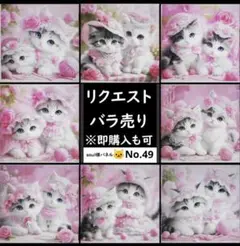 【パネル】2匹の猫