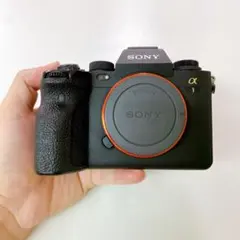 2026年最新】α1 sony ilce-1の人気アイテム - メルカリ