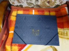 ポケモンギャラリーコレクション クリアファイル8枚セット