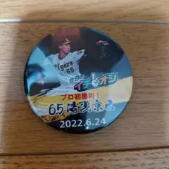 Item thumbnail for item 727333fe-97a5-4ff1-846d-93a9031a967c