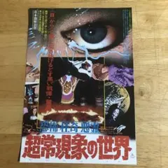 映画　「恐怖・怪奇・悪霊　超常現象の世界」　フライヤー