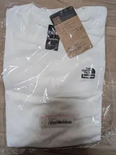 THE NORTH FACE Supreme Mountainscape Tee