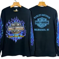 2025年最新】ハーレーダビッドソン tシャツ フレイムの人気