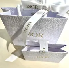 DIOR ディオール ギフト用紙袋 2点セット （通常サイズ＋リップ用ミニ）