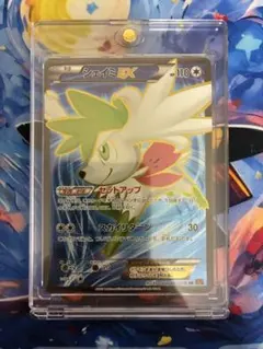 2026年最新】ポケモン カード XY6 SRの人気アイテム - メルカリ