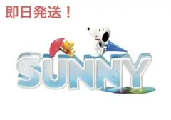 リーメント　スヌーピーコレクションオブワーズ3 SONNY