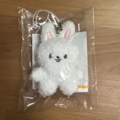 2026年最新】skzoo リノ leebit ぬいぐるみの人気アイテム - メルカリ