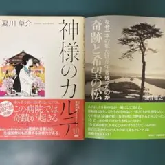 Item thumbnail for item 2efcf015-f682-44a6-bacc-4a524e3e8cc2