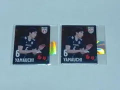 Item thumbnail for item 45024c93-f758-4e15-8bdd-062aaac7d81a