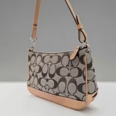 COACH シグネチャーワン ショルダーバッグアクセサリーポーチ 6094のサムネイル