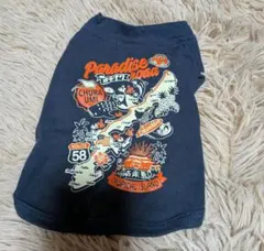 Item thumbnail for item 94232efe-246b-4c36-8256-d06d91b4d346