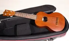 Item thumbnail for item 6e2d3fa6-5dfc-44a4-b517-a9bfa6428b37