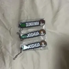 SEVENTEEN セブチ PetiTEEN ラバーチャーム