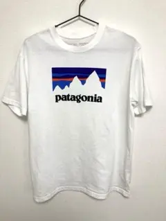 patagonia パタゴニア ショップステッカー　レスポンシビリティー