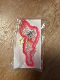 琵琶湖キーホルダー　比叡山　ピンク