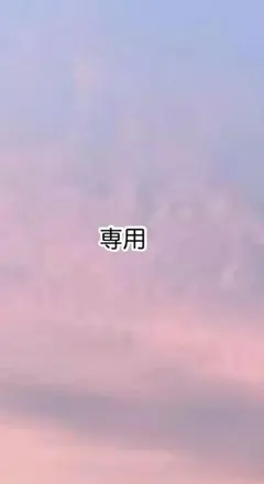 ♬ꕤ︎︎Seikoꕤ︎︎♬様 リクエスト 3点 まとめ商品