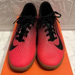 Item thumbnail for item fcaca6fe-52df-4337-8a37-d31f33d509d3