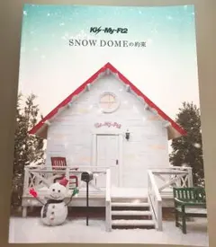 【公認グッズ】Kis-My-Ft2  パンフレット