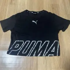 PUMA プーマ キッズ 半袖 Tシャツ ガールズ ショート丈 ロゴ