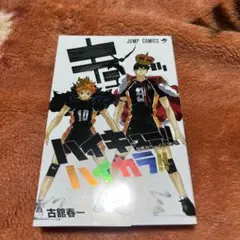 ハイキュー！！ 公式カラーイラスト集 ハイカラ