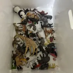動物フィギュア