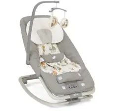 ジョイー バウンサードリーマー/インザレイン