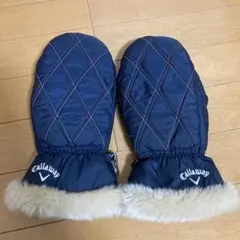 ゴルフグローブ レディースウェア