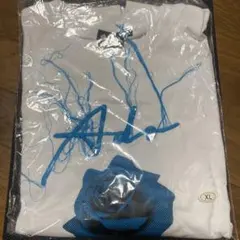 Item thumbnail for item 033cc34c-b812-43ae-8bac-93f43562e86f