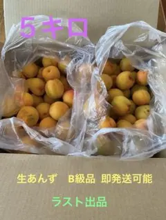 完熟生あんず B級品 即発送可能 ラスト出品のサムネイル
