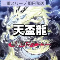 2026年最新】天盃龍の人気アイテム - メルカリ