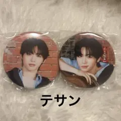 boynextdoor テサン　缶バッジ　ガチャ