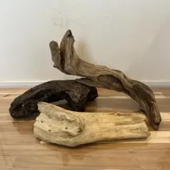 天然流木no.29 サイズM3本セット