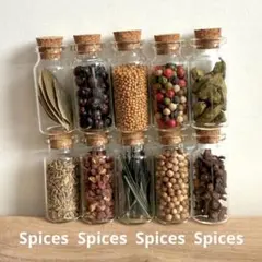 SPICES 10本セット(ミニボトル)