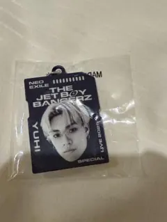 Item thumbnail for item 5558139a-beb9-4528-b385-f49d7a0b488b